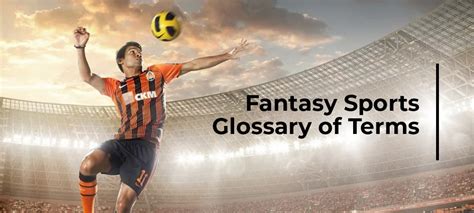 Glossary of Fantasy Sports Terms .